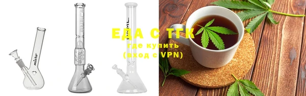 индика Куйбышев