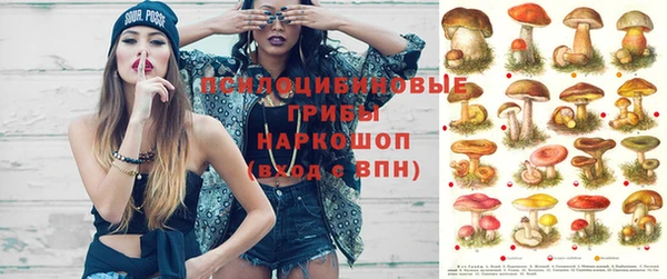индика Куйбышев