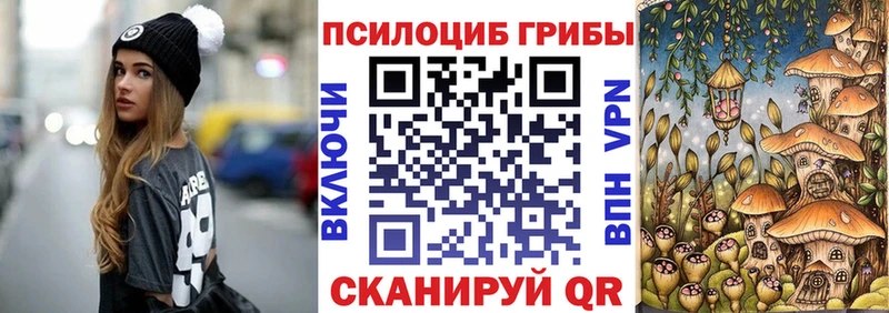 Купить где  Калуга  Галлюциногенные грибы мицелий 